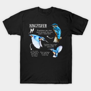 Animal Facts - Kingfisher T-Shirt